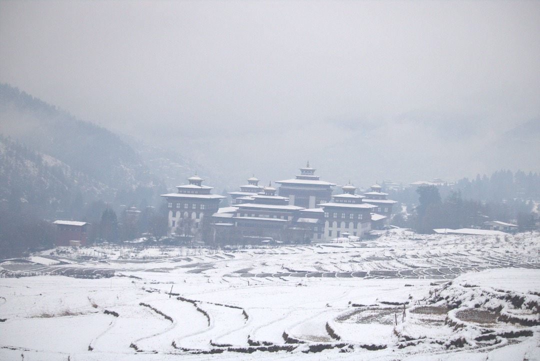 Eco-Tourism Experiences